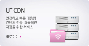 U+ CDN �����ϰ� ���� ��뷮 ������ ����, ȿ������ ������ ���� ����