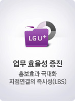 ����ȿ���� ȫ��ȿ�� �ش�ȭ ���������� ��ü�(LBS)
