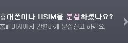 �޴����̳� USIM�� �н��ϼ̳���? Ȩ���������� �����ϰ� �нǽŰ� �ϼ���.