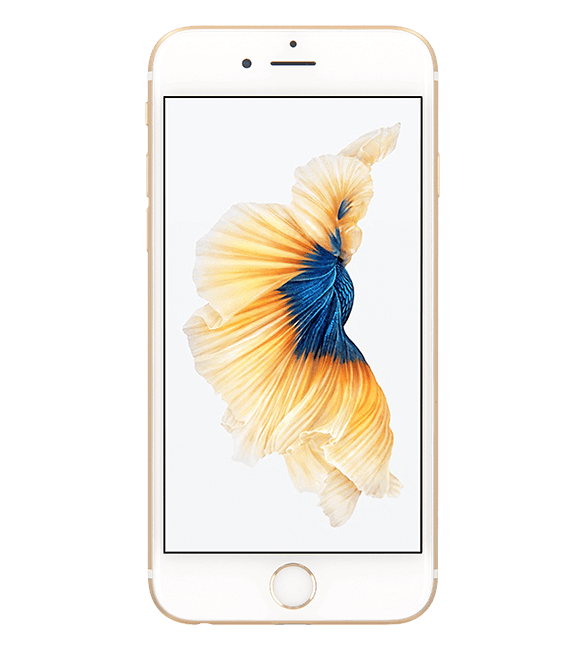 ¾ÆÀÌÆù6S 128GB